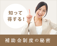補助金制度の秘密